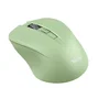 Trust Ratón inalámbrico Mydo Silent Wireless, hasta 1800 DPI, verde